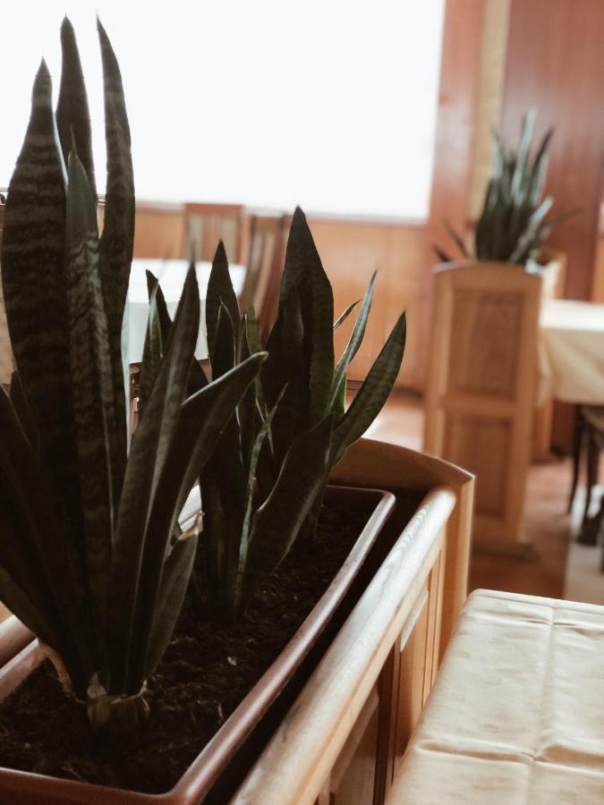 Hotel Kupres Kupres  Zewnętrze zdjęcie